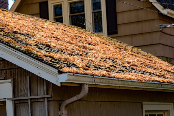 autumn-leaves-on-shingled-roof-with-rain-gutters-2026-01-07-00-32-28-utc