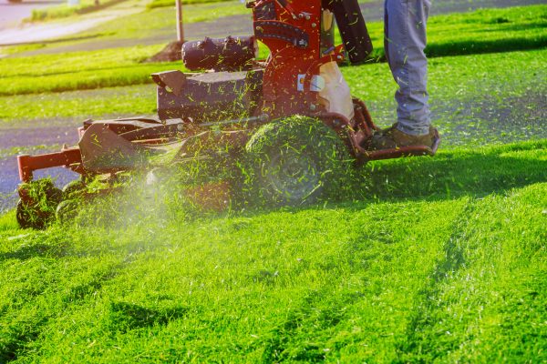 Home garden grass gardener cutting lawn grass with lawn mower man using a lawn mower a gardener cutting grass by lawn mower