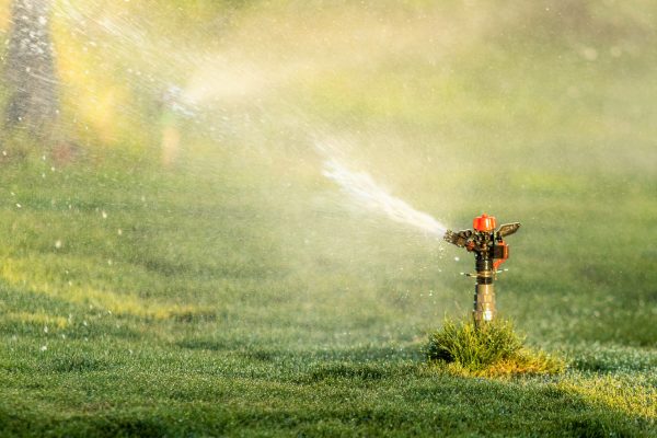 irrigation-system-watering-the-green-grass-blurre-2026-01-09-14-00-07-utc