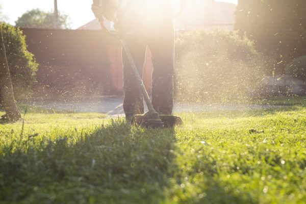 Mowing the grass with a lawn mower. Garden work concept background.