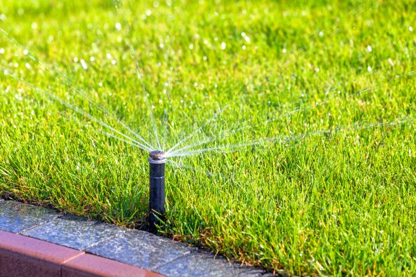 underground-irrigation-sprinkler-system-automatic-2026-01-11-09-26-25-utc (1)